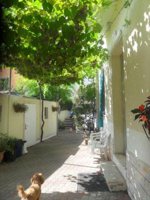 Albergo Villa-Brandi --- Pensione Completa --- Беллария-Иджеа-Марина Экстерьер фото